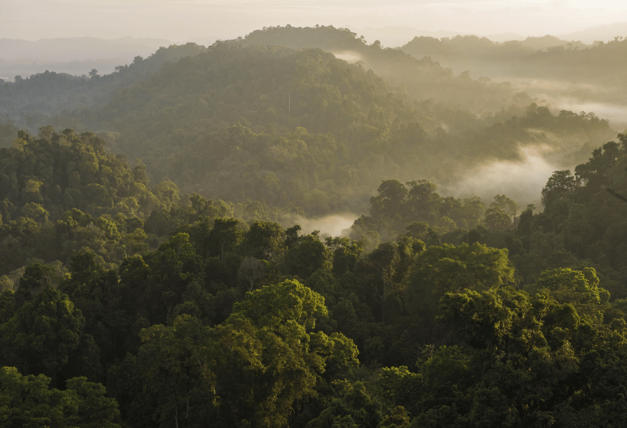 BUKIT TIGA PULUH