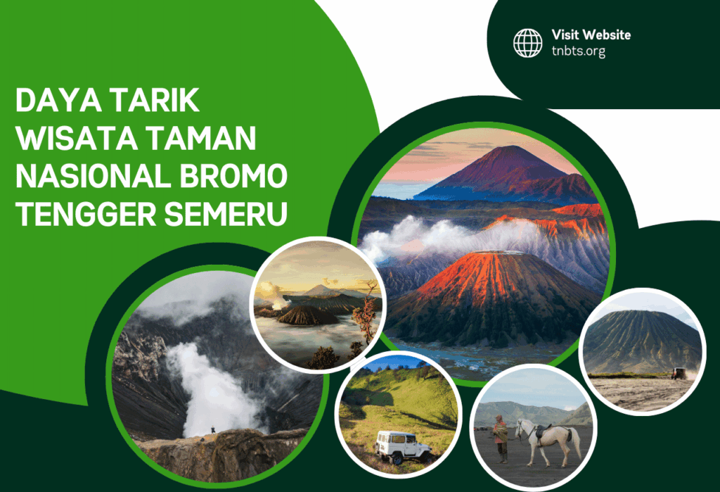 Daya Tarik Wisata dan Aktivitas