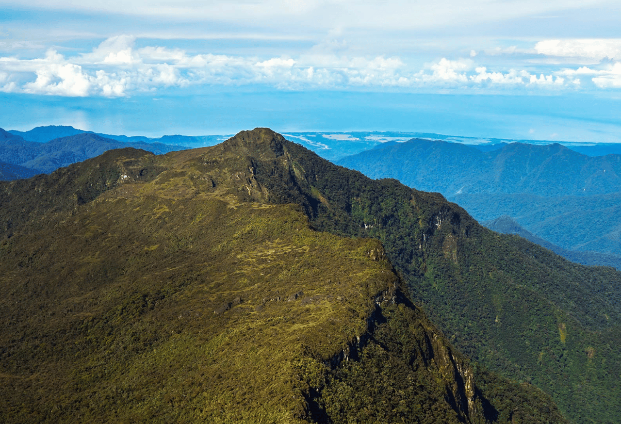 GUNUNG LEUSER
