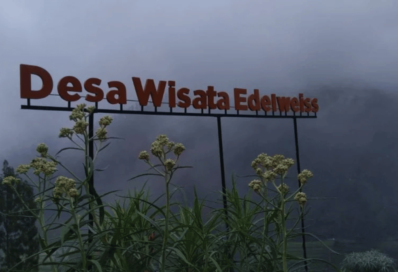 Pengelolaan Desa Wisata Edelweiss