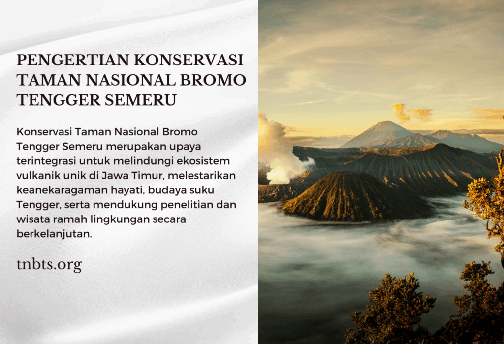 Pengertian Konservasi Secara Umum