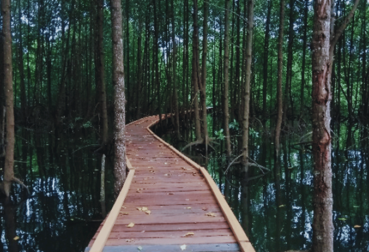 TAMAN NASIONAL KUTAI